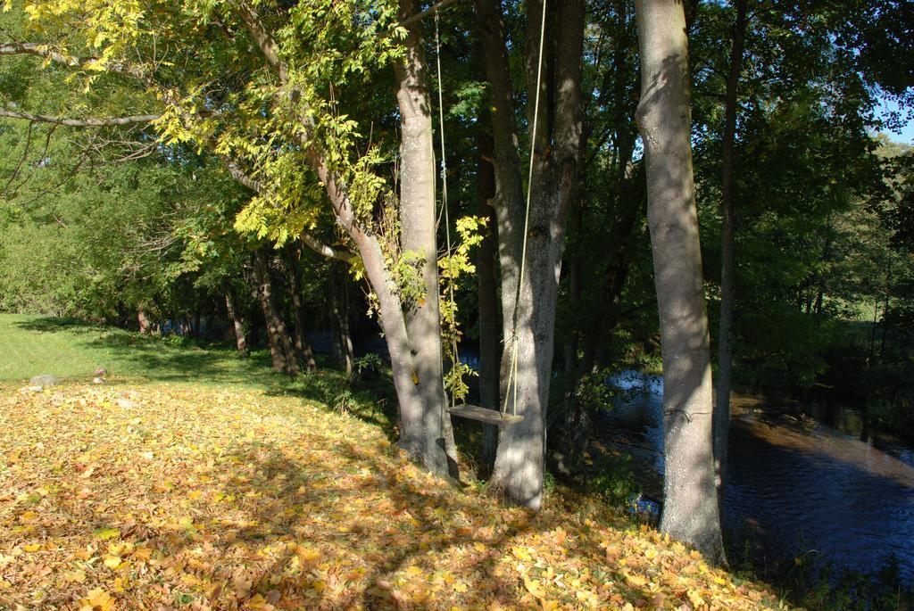 Natura Apartamenty Swaderki Экстерьер фото