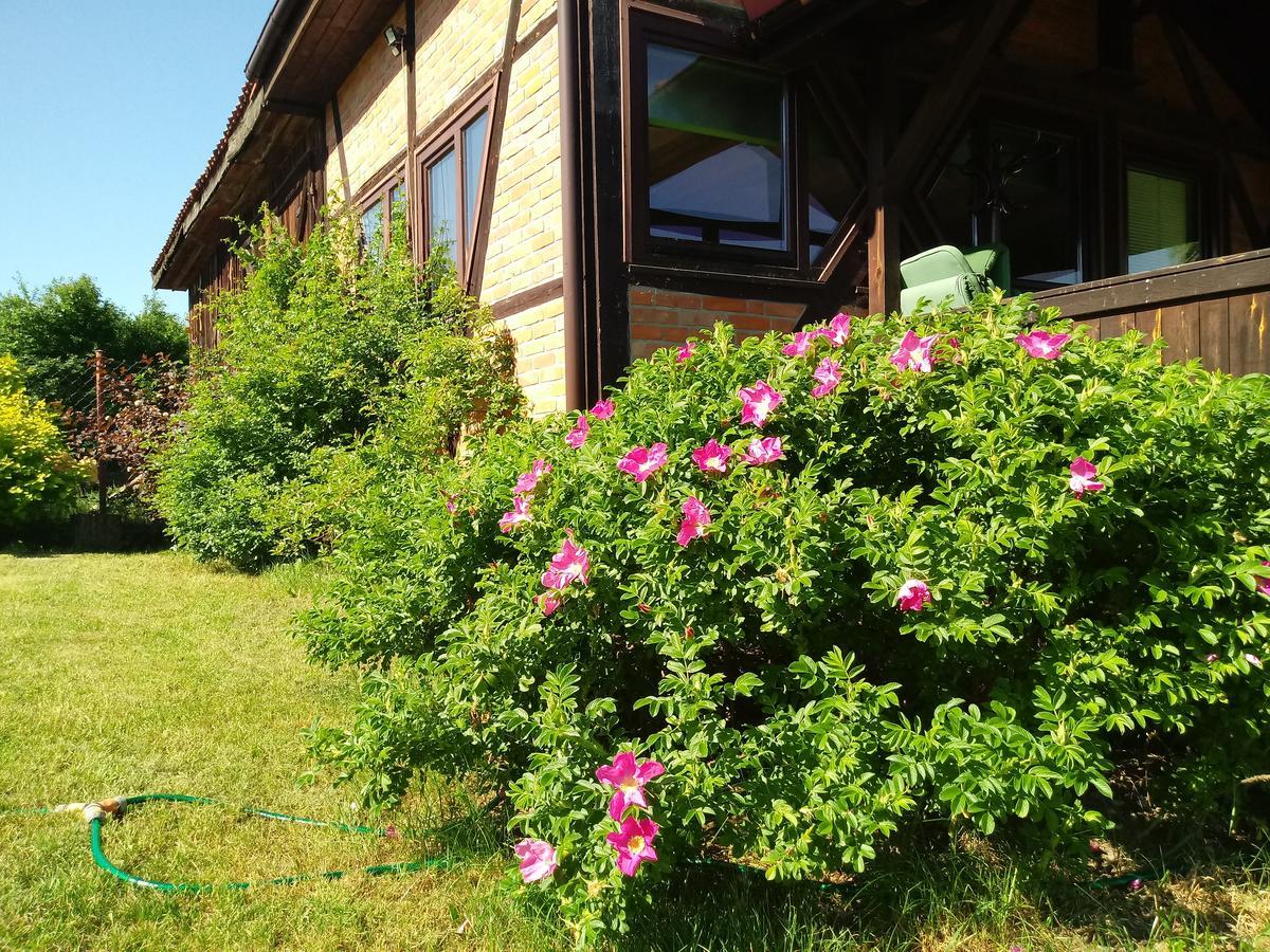 Natura Apartamenty Swaderki Экстерьер фото